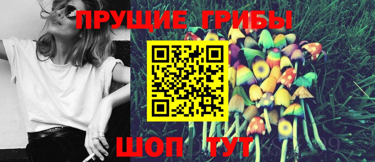 Галлюциногенные грибы мухоморы  Вход с VPN  цена   Сочи 